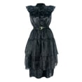 thumbnail image 5 of Robe de Costume de Danse pour Femmes Raven, 5 of 5