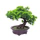 thumbnail image 1 of Plastic Bonsai Artificial Plant Decor for Decoration, 1 of 5