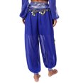 thumbnail image 3 of YONGHS Women's Belly Dance Arabic Performance Harem Pants Chiffon Shiny Beads Tassel Trousers Royal Blue One Size, 3 of 7