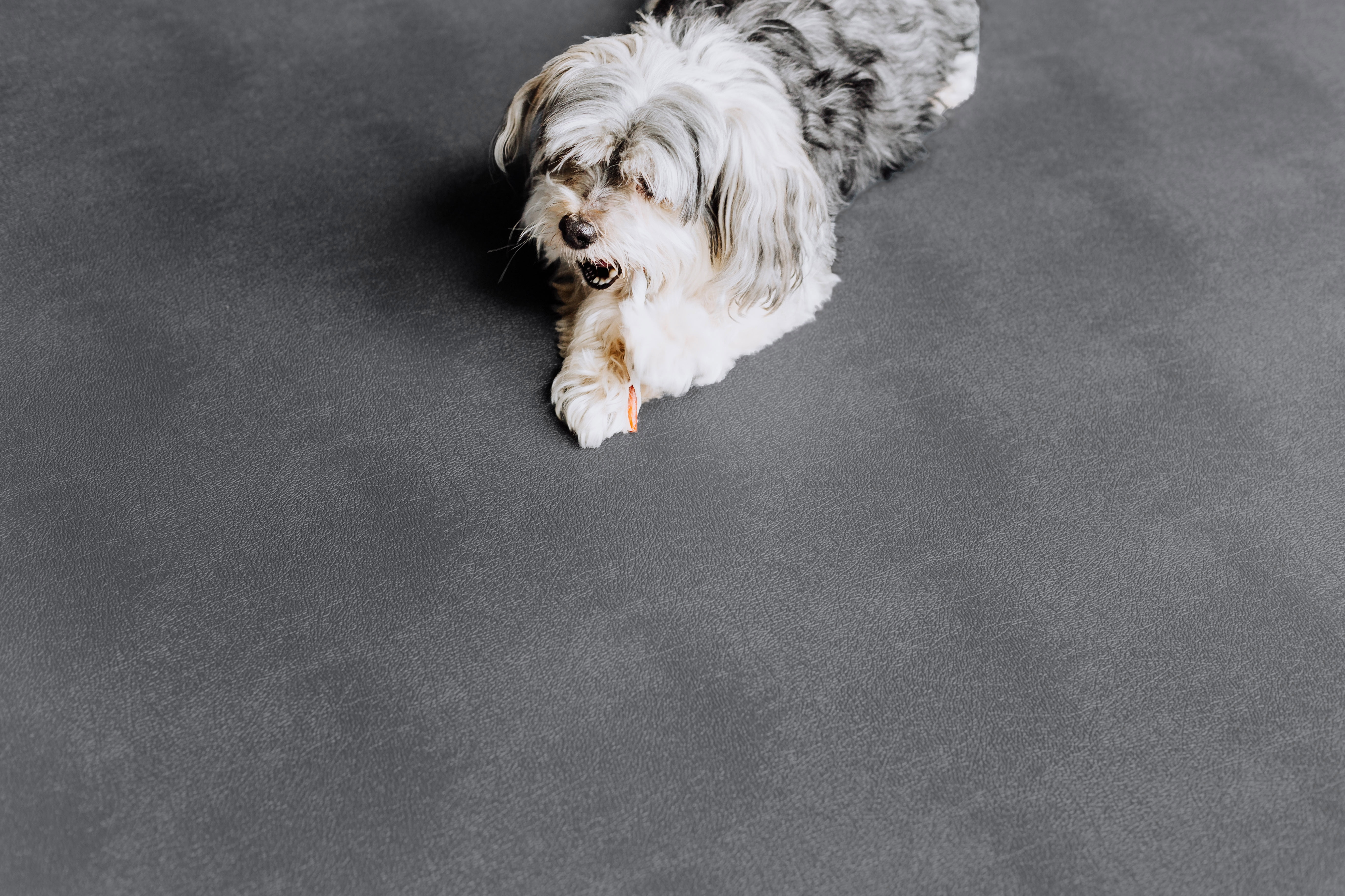visit the g-floor store Levant Texture Protective Vinyl Floor Covering Pets 7.5ft x 17ft Gray