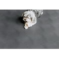 thumbnail image 5 of visit the g-floor store Levant Texture Protective Vinyl Floor Covering Pets 7.5ft x 17ft Gray, 5 of 8
