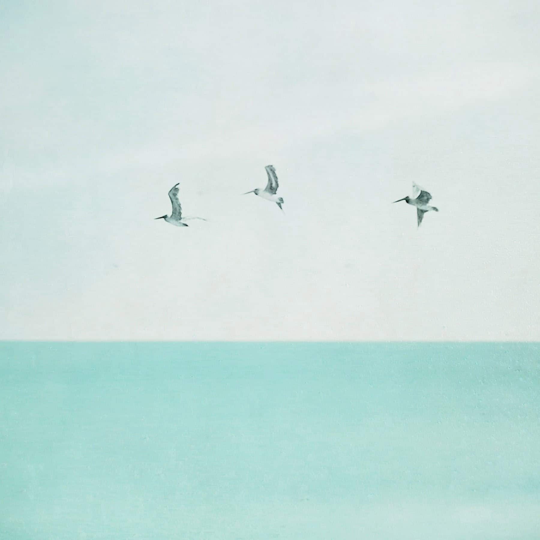 "3 Seagulls" Painting Print on Wrapped Canvas