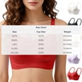 thumbnail image 3 of Jerdar Women's Plus Size Full Coverage Wireless Bras Supportive Wide Strap Comfort Bra for Sagging Breasts No Back Fat Minimizer Bra 95, 3 of 6