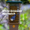 thumbnail image 3 of Birds Choice 22.5" Pileated 2-Cake Tail Prop Suet Feeder, Taupe/Green, 3 of 12