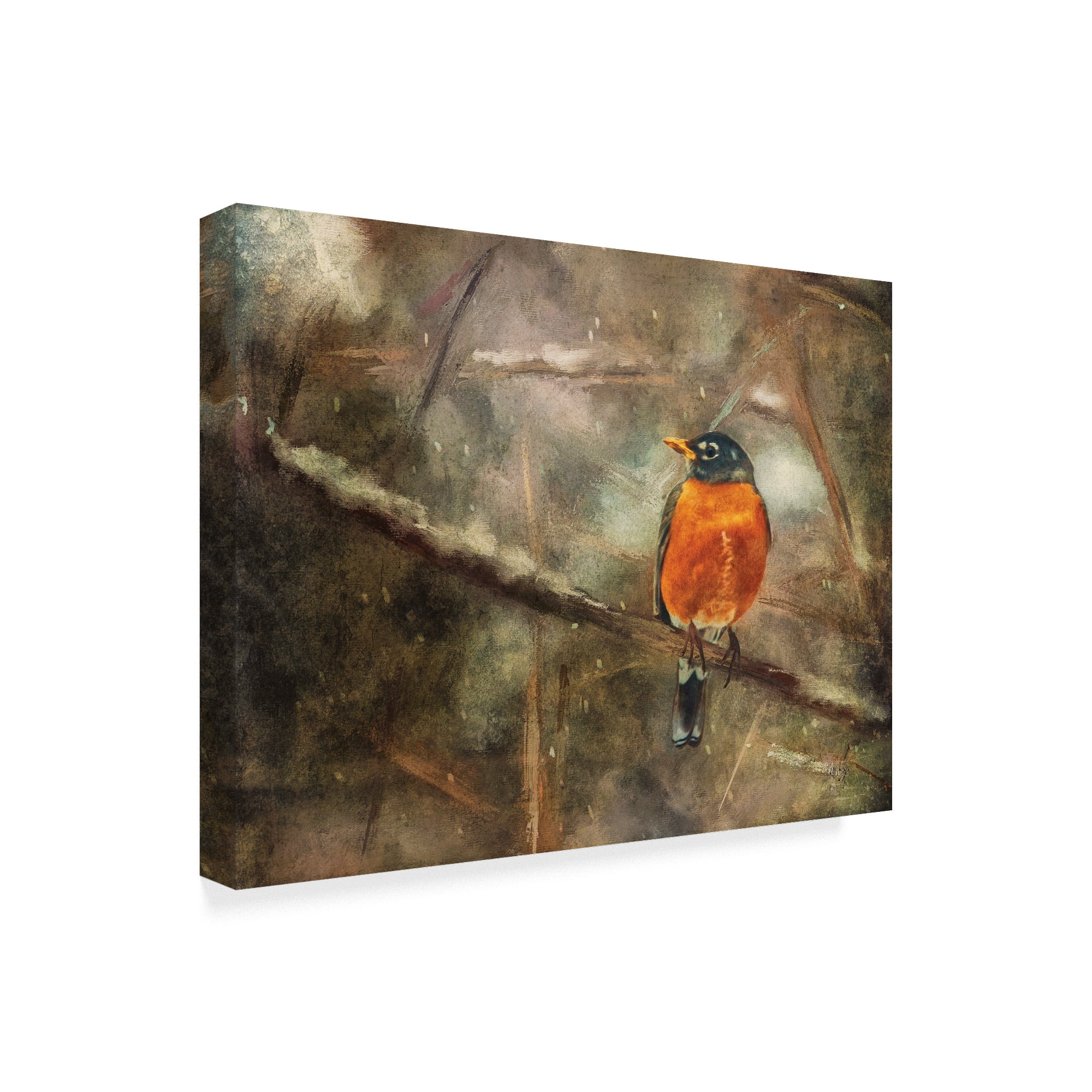 Trademark Fine Art 'American Robin in the Snow' Canvas Art by Lois Bryan