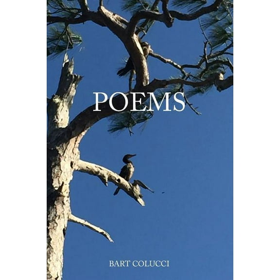 Poems (Paperback)
