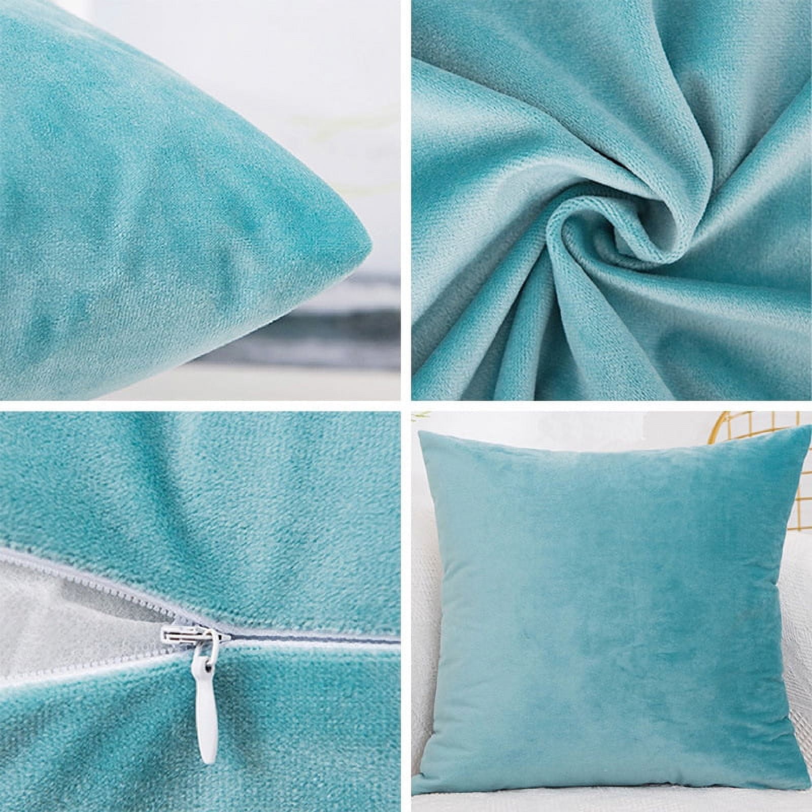 Dtwnek Pack of 2 Velvet Throw Pillow Covers Decorative Pillow Case Solid Color Cushion Case for Couch Living Room Sofa Bedroom Car, 24x24inch