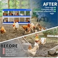 thumbnail image 6 of Garvee 10-Hole Chicken Coop Nesting Box with Ventilation Holes, Heavy-Duty Galvanized Steel Laying Box for Hens & Ducks, Space-Saving Poultry Nest Box, 6 of 7