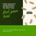 thumbnail image 6 of Swanson Milk Thistle (Standardized) - Herbal Liver Support Supplement w/ 80% Silymarin - Natural Formula Helping to Maintain Overall Health & Wellbeing - (120 Capsules) (4 Pack), 6 of 7