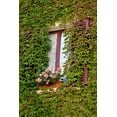 thumbnail image 2 of Eggers, Julie 23x32 White Modern Wood Framed Museum Art Print Titled - Italy-Tuscany-Montepulciano Window surrounded by ivy with pot of geraniums in hill town, 2 of 4