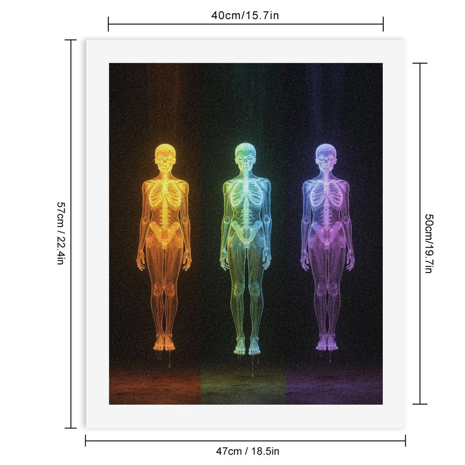 Paint By Numbers Kit for Adults Beginner - DIY Neon Skeleton Trio Art Display Canvas Painting Kits for Adults, Frameless Paint By Number for Adults for Home Wall Decor 16x20 Inch