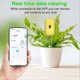 thumbnail image 5 of Tuya Smart Bluetooth Soil Tester Temperature and Humidity Meter, 5 of 5