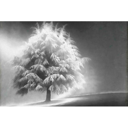 Marmont Hill "Enlightened Tree" Painting Print on Canvas