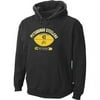 Troy Polamalu Nfl Hoodie