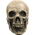 thumbnail image 1 of Adorno Calavera Humana Realista Decoración Terror Halloween, 1 of 5