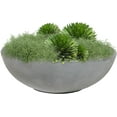 thumbnail image 1 of ZYPPPA Percival 20.75" Shallow Outdoor Planter Bowl for Flowers and Succulents - Polyresin Double-Walled Design - Gray, 1 of 17