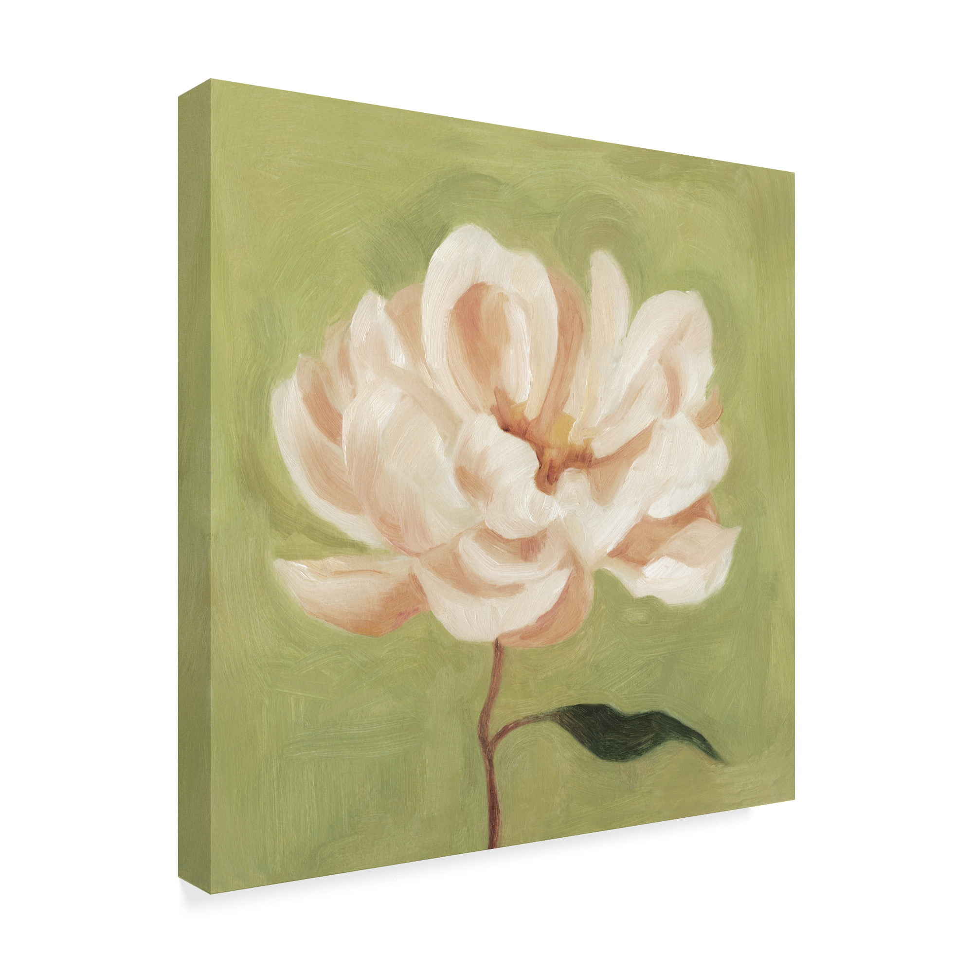 Trademark Fine Art 'Peony on Olive II' Canvas Art by Emma Scarvey
