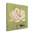 thumbnail image 2 of Trademark Fine Art 'Peony on Olive II' Canvas Art by Emma Scarvey, 2 of 4