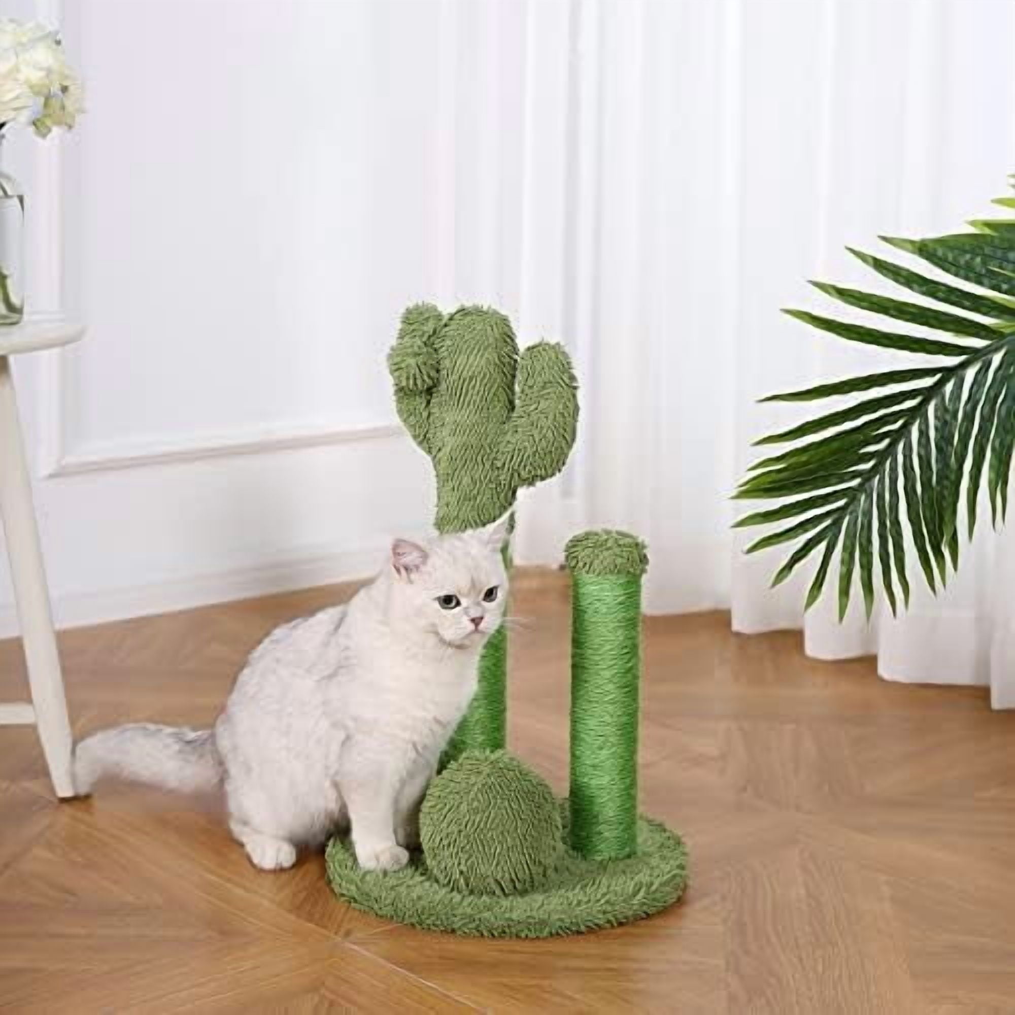 Basics Sisal Cat Scratching Post, Indoor Cactus Triple Posts for Cats & Kittens with Dangling Ball, Small, 22.4"H, Green