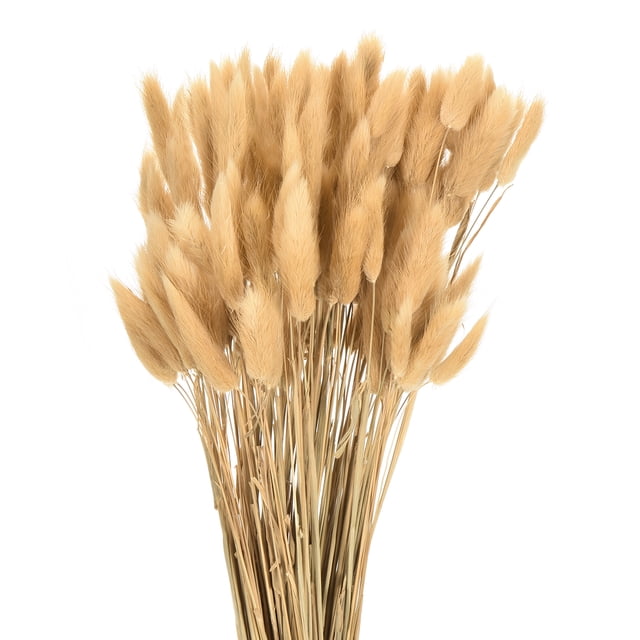 Uxcell 120pcs Colas de Conejo Naturales Flores Secas 17" Mini Hierba Pampas Lagurus Ovatus Ramo para Decoración Floral de Boda, Beige