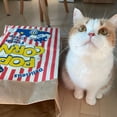 thumbnail image 4 of Greeniant Bolsa de papel Kraft de palomitas de maíz natural marrón para gatos domésticos | Papel de palomitas de maíz duradero y multiusos Juguetes para gatos, 4 of 6