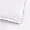 thumbnail image 5 of Winter Heavyweight White Goose Down Comforter, 5 of 5