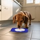 thumbnail image 4 of Comedero Lento Para Perros Almohadilla De Silicona Para Que Los Perros Laman Dispensador Para Cachorros Y Gatos Que Evita La Ansiedad Y El Desorden Seaflex Feast Mat – Comedero Lento Fomenta El, 4 of 5