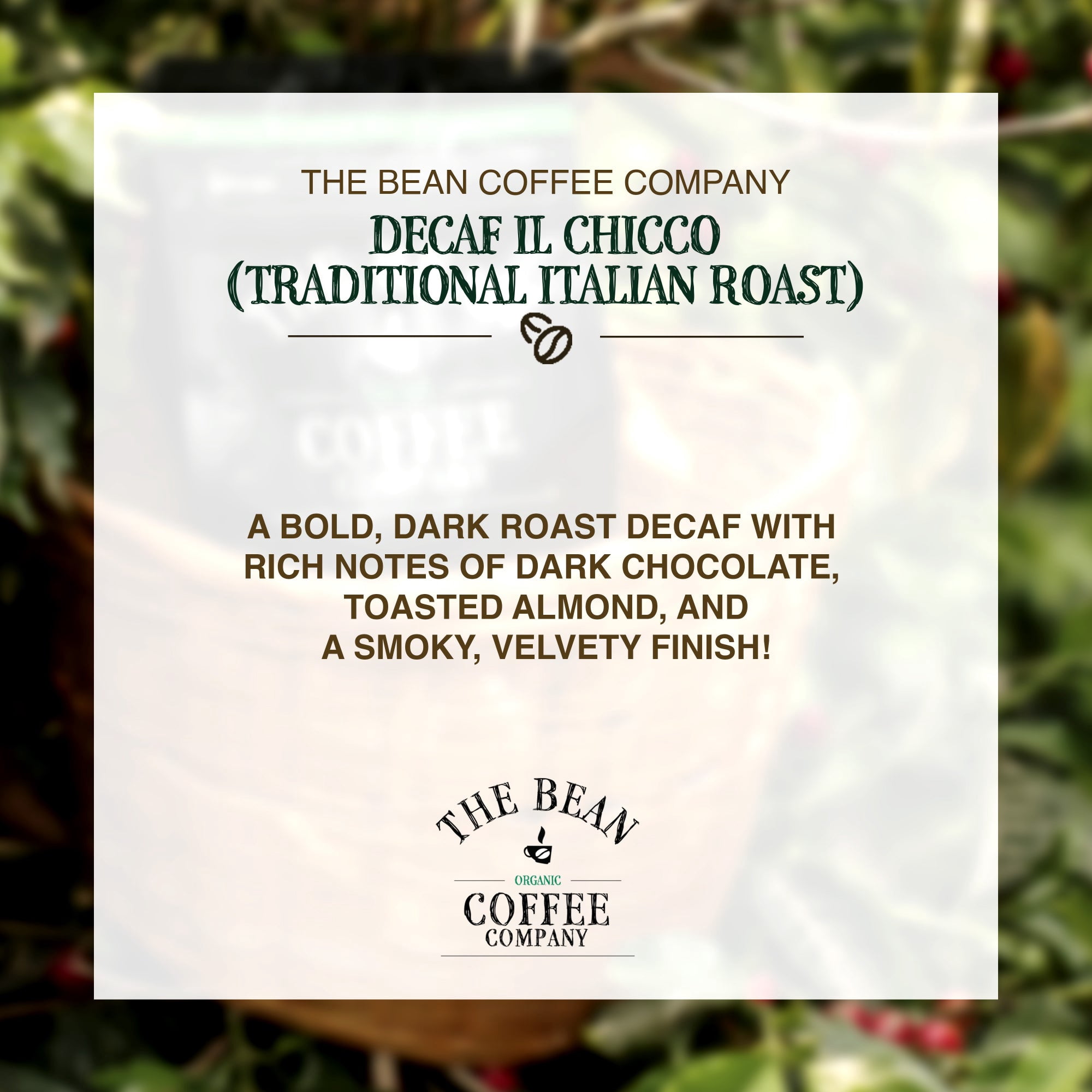The Bean Organic Coffee Company Water Processed DECAF IL Chicco (Traditional Italian Roast), Dark Roast, Ground Coffee, 16-Ounce Bag