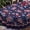 Blue-flowers, variant on 4th of July Tablecloth Waterproof Patriotic Table Cloths for Memorial Day, Independence Day Indoor Outdoor Dining Room-60"*60" Square