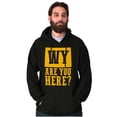 thumbnail image 5 of Wyoming Why are You Here Funny Locals Hoodie Sweatshirt Women Men Brisco Brands M, 5 of 6