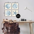 thumbnail image 3 of Blue Varied Seashell Marine Life Animals & Insects Graphic Art White Framed Art Print Wall Art, Set of 4, 3 of 8