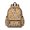 Boston Terrier and, variant on Jack Russell Terrier and Floral Backpack for School, Cute School Bag with Adjustable Shoulder Straps and Padded Back, 13.4"x11"x4.7"