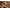 Leopard, variant on Comfortview Women's The Taren Slip On Flat