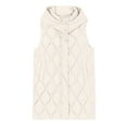 thumbnail image 1 of Veste Décontractée pour Femmes, Manteau Mode Uni, Long, Ample, Léger, Confortable, Élégant, Polyvalent, 1 of 4