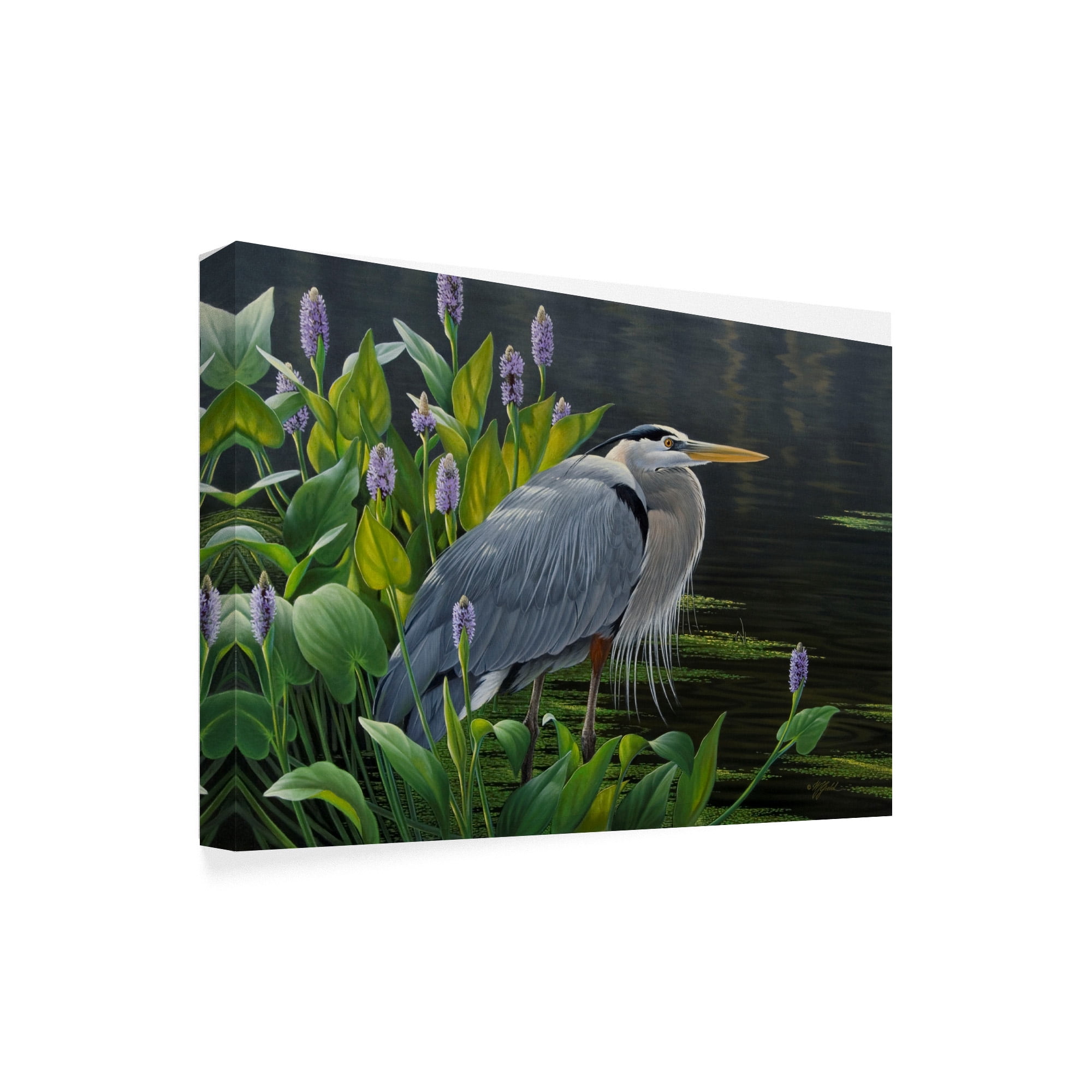 Trademark Fine Art 'Biding Time Great Blue Heron' Canvas Art by Wilhelm Goebel