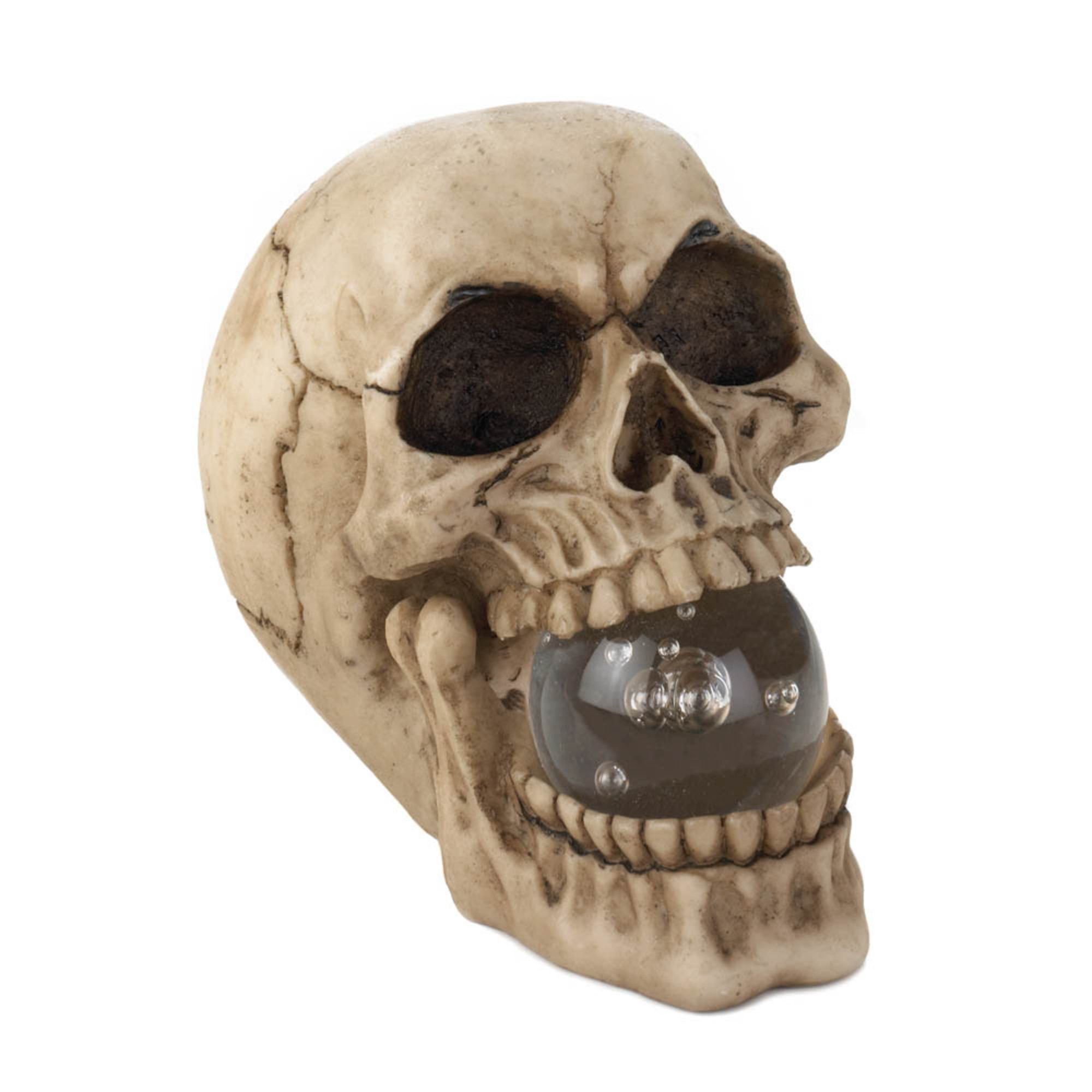 NEW Halloween Prop Human Skulls/Skeleton Aged Devil Skull w/ 2" Horns 
