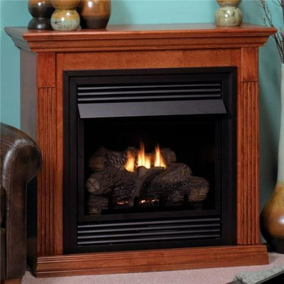 26 in. Vent-Free White MV Fireplace - LP