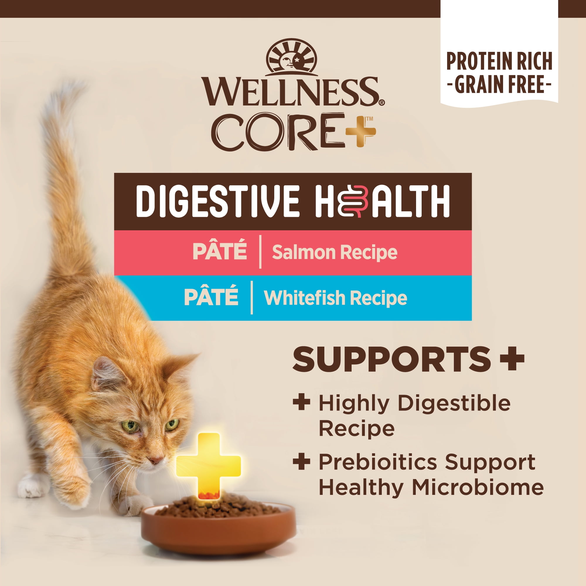 Wellness CORE Digestive Health Salmon Whitefish Pate Variety Pack Wet Cat Food 3oz Can Pack of 12 Walmart