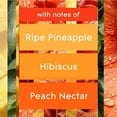 thumbnail image 3 of 6 Glade Hawaiian Breeze Automatic Spray Air Freshener Refills ( 6 NEW x 6.2 oz ), 3 of 8