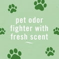 thumbnail image 4 of Febreze Small Spaces Air Freshener, Odor-Fighting, Heavy Duty Pet Scent, 50mL, 4ct, 4 of 9