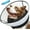 Black, variant on Upgraded Inflatable Dog Cone Collar with Transparent Anti-Licking Shield, Adjustable Elizabethan Collar for Medium Large Dogs, 2-in-1 Design with Detachable Shield