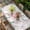 Pink Green, variant on Pink Flamingo Table Cloths for 5 Foot Rectangle Tables, Tropical Botanical Summer Flower Rustic Patio Waterproof Elastic Fitted Tablecloths, Washable Rectangular Table Cover for Camping