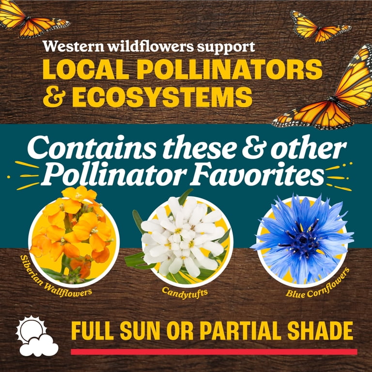florida wild flower seeds Bulk Florida Wildflower Seed Mix