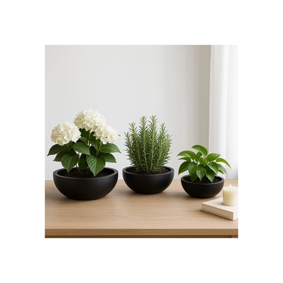 Flower Pots and Planters for Home Decor - Minimalist Pots for Indoor or Outdoor Plant Stands - Ideal for Succulents and Houseplants in Garden, Patio, or Living Room - Set of 3, 6", 5", 4", Black
