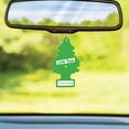 thumbnail image 4 of Little Trees Car Air Freshener | Hanging Tree Provides Long Lasting Scent for Auto or Home | Green Apple, 6-Packs (4 Count), 4 of 6