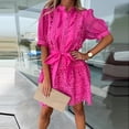 thumbnail image 3 of Nouveau Femmes Broderie Creux Stand Col Partie Robe Printemps Manches Courtes Robe Simple Poitrine Mini Sexy Dentelle Bureau Chemise Robe, 3 of 7