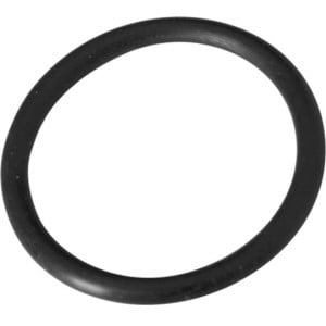 Retainer Clear O-ring Summer Escapes Replacement O-Ring for F2000C Filter Pump Type C Retainer Nut P58045000K01 ()