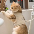 thumbnail image 3 of Clearance! Solid Color Cat Harnesses And Leash Set for Cats Summer Breathable Mesh Adjustable Easy Control Pet Vest Harness Accessories Gray S, 3 of 16