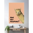 thumbnail image 2 of Are You Pooping? - Funny Alpaca Llama Meme For Bathroom Or Restroom Decoration Poster Wall Art, Modern Wall Decor For Living Room Bedroom, 8x12 UNFRAMED, 2 of 3