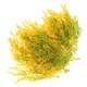thumbnail image 5 of 20 piezas de espigas de trigo de arroz artificiales, hierba de trigo artificial, racimos de espigas de trigo de arroz artificiales, decoraciones, 5 of 7